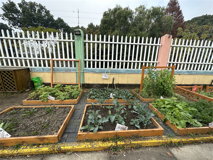 图片8.png 图片8.png